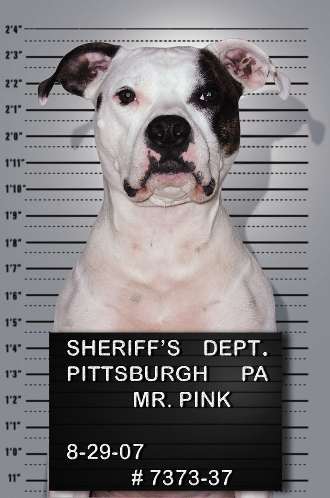 LILIKO'I BLISS Label Design